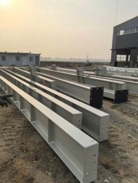 Steel Structures